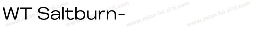 WT Saltburn字体转换